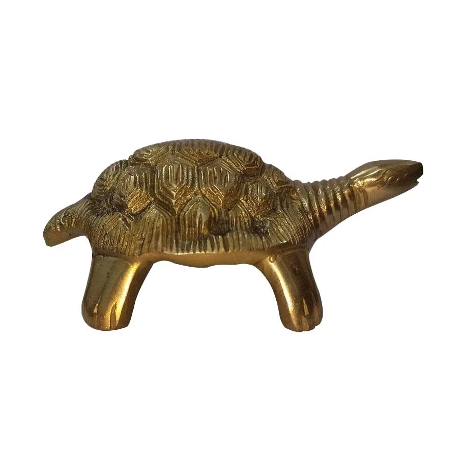 BRASS TURTLE SHULK
