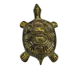 Placeat facere officia id iste.