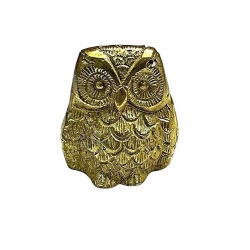 Symbol of Wisdom Protection Owl