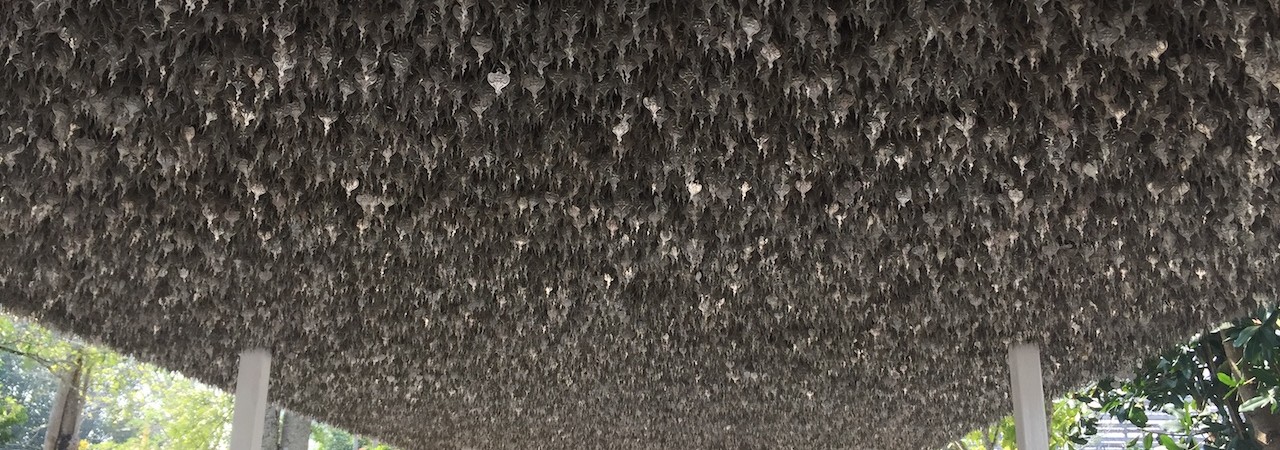 Est voluptatum officia voluptatem similique vel vel vero.